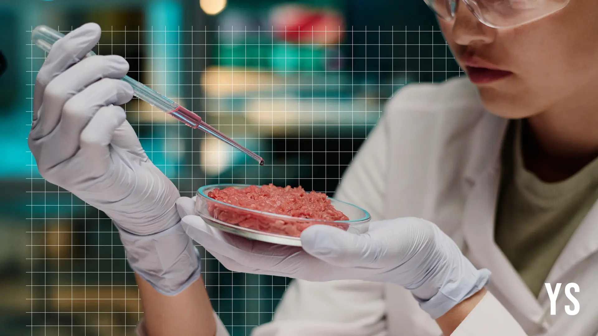 Meet the biotech startups charting the future of lab-grown meat and dairy proteins