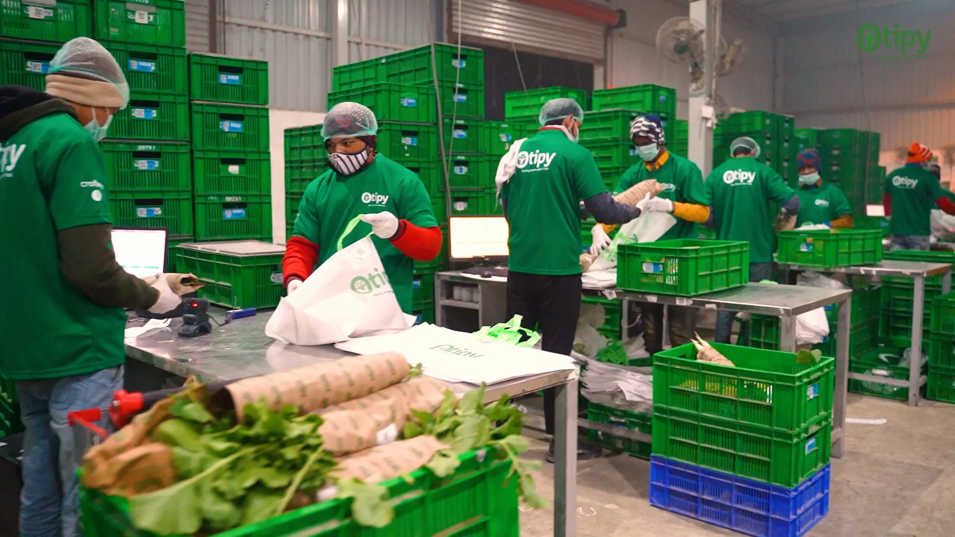 Otipy parent Crofarm sees 56% revenue growth in FY23; losses cross Rs 100 Cr