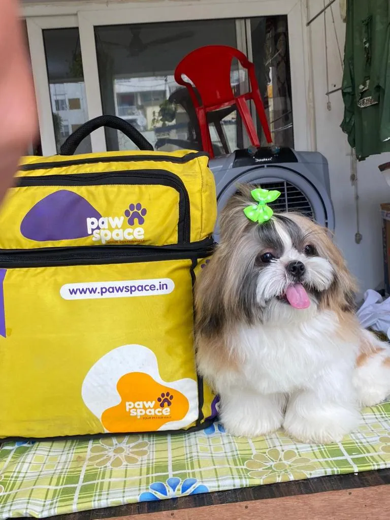 PawSpace