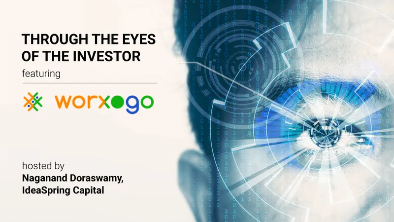 Through the eyes of the investor warxogo