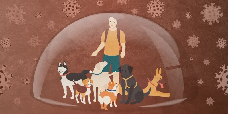 Petcare startups