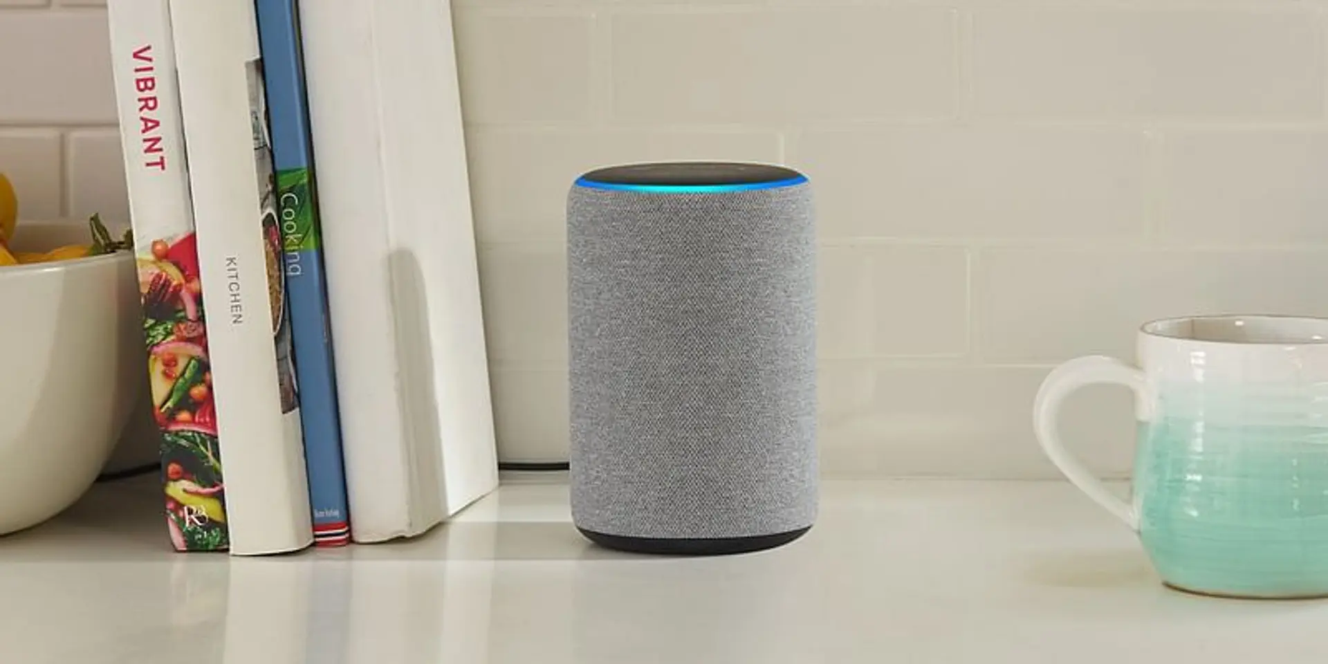 Learn English, donate meals amid COVID-19 pandemic, stream Rekhta poetry – things you can do with Alexa during lockdown