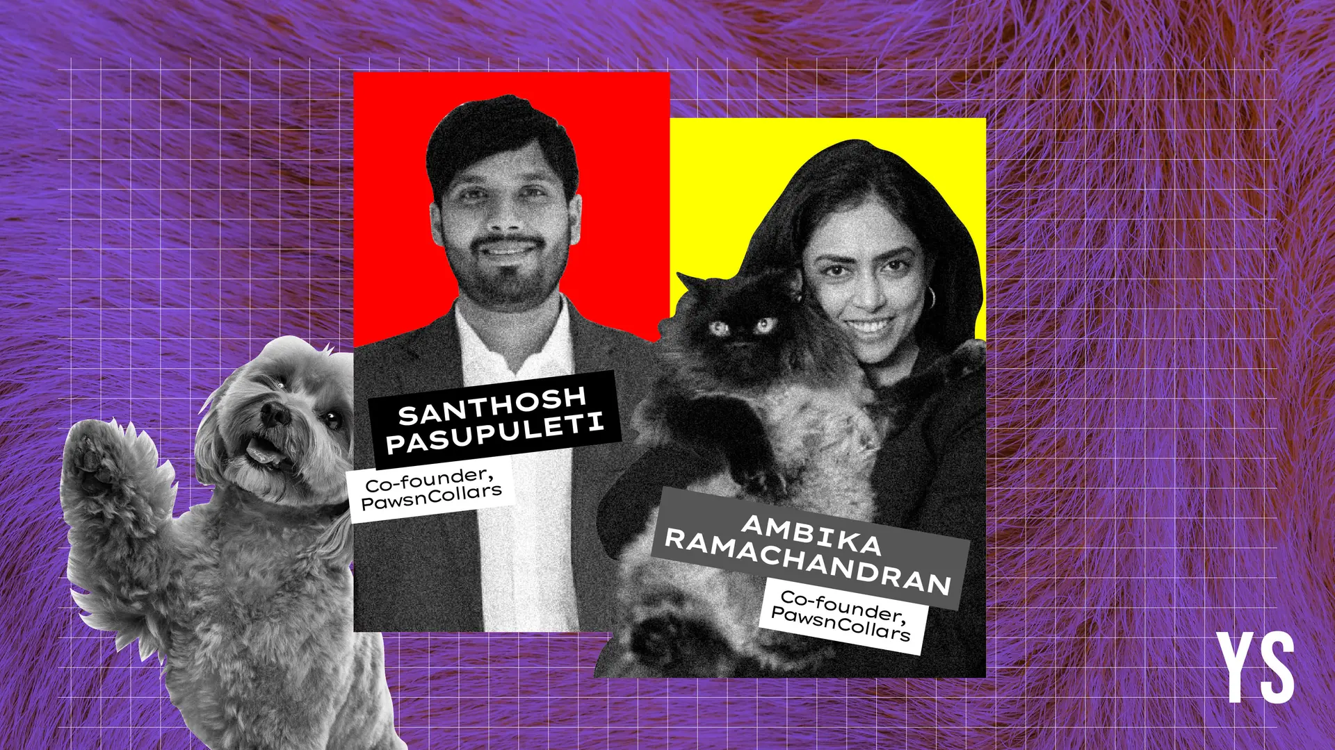 PawsnCollars is building a 360-degree lifestyle brand for India’s pets and their parents