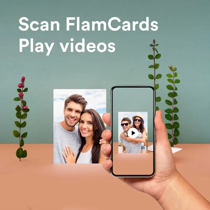 Flam Cards
