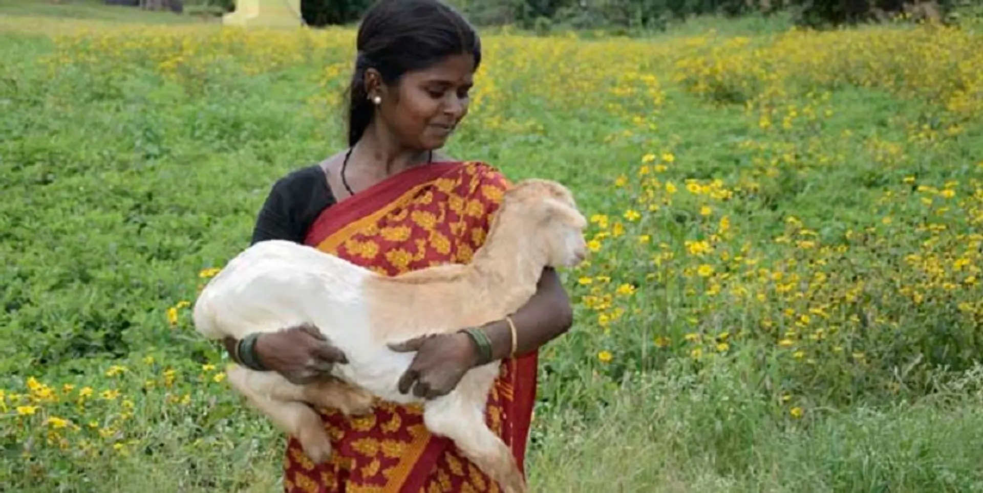 How this NGO has transformed lives by creating job opportunities in Bharatpur
