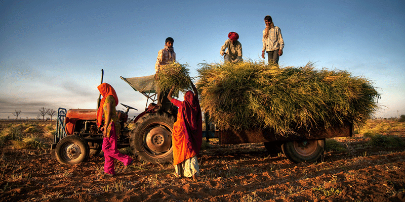 Nabard doubled its assets in 5 years. How can it help farmers do the same?