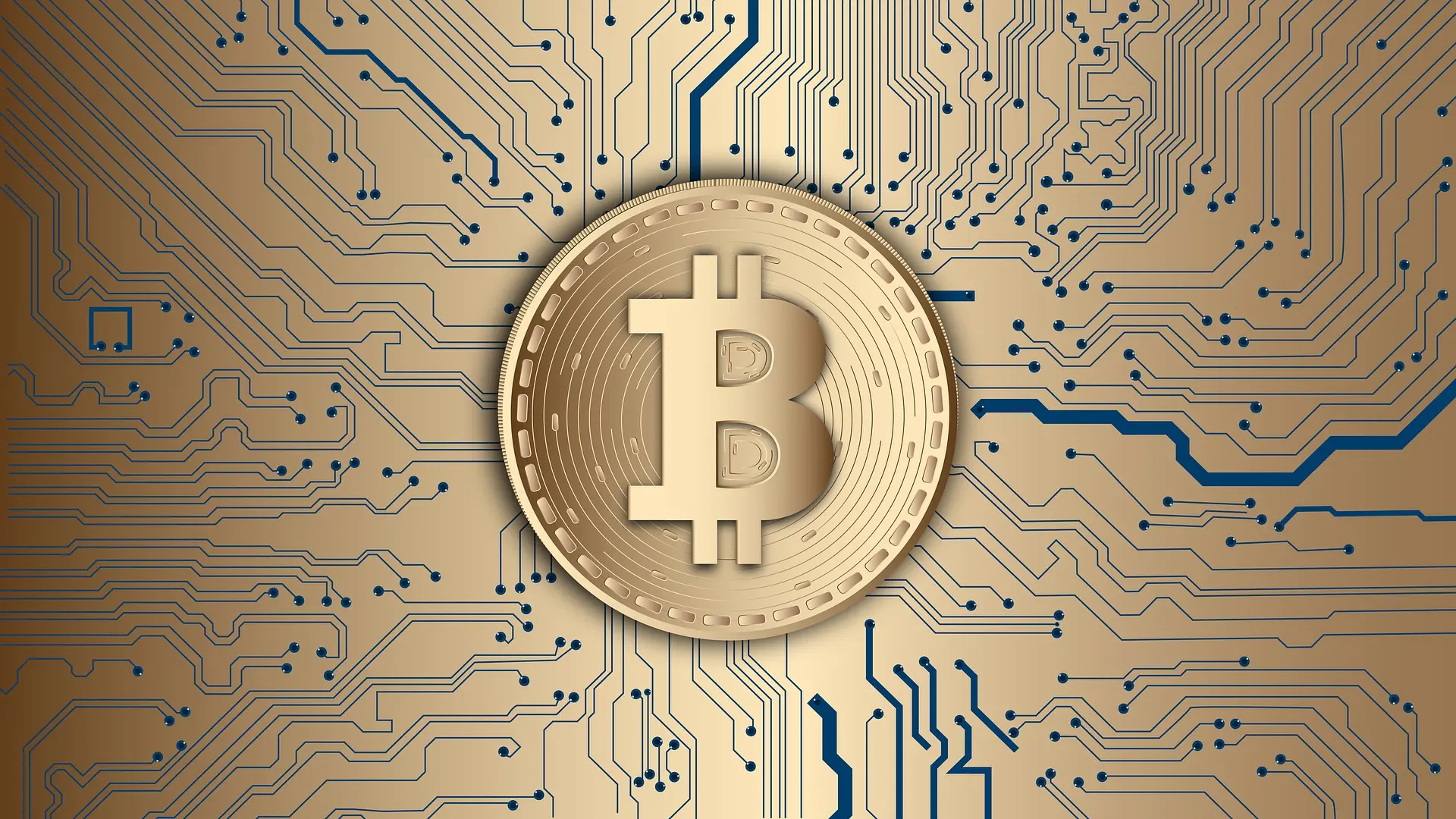 Unveiling the power of blockchain technology: A beginner's handbook