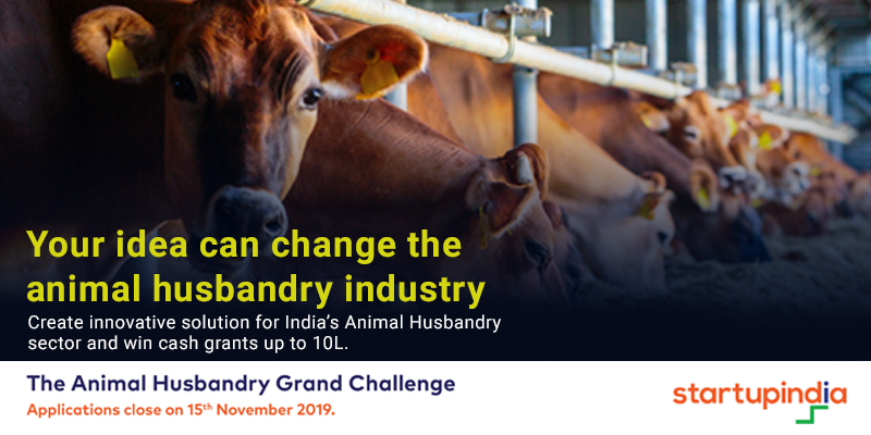 Animal Husbandry Startup Grand Challenge: Seeking innovative solutions for the world of dairy and animal husbandry. 