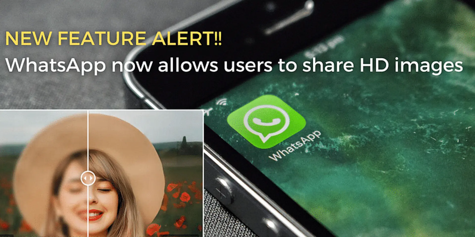 Share Photos in HD on WhatsApp: New Feature Revealed