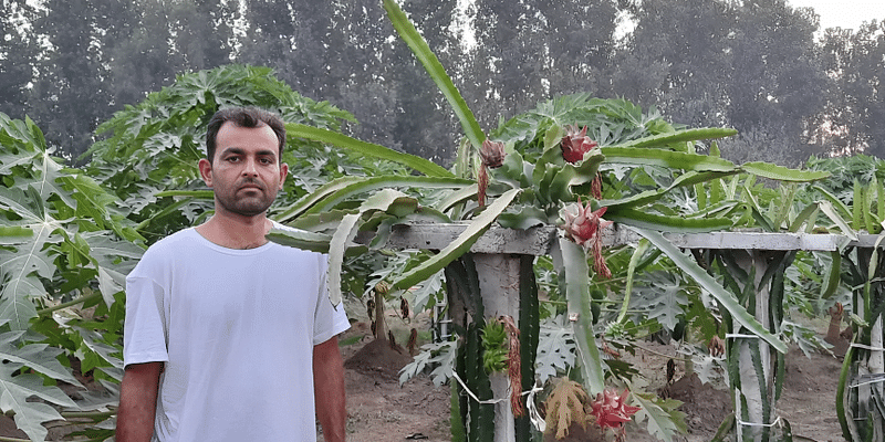 Raman Salaria: The Engineer Who Became Punjab's Organic Dragon Fruit Pioneer