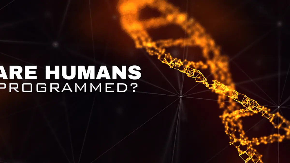 Computer Code Humans Humans Are Programmed? The Fascinating Link Between DNA and Digital ...