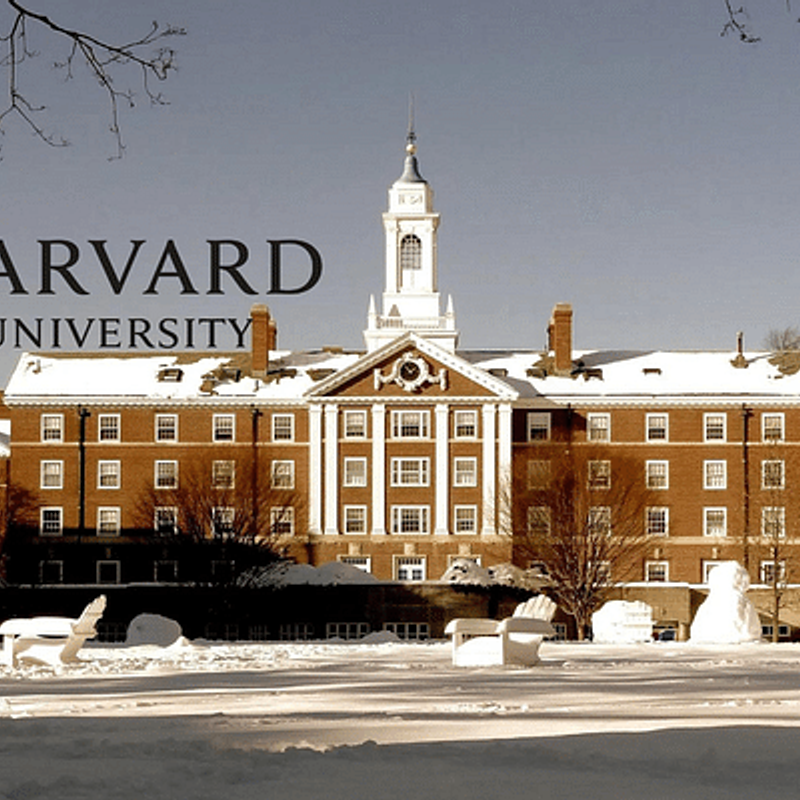 Harvard's Top 10 Free Online Courses in AI & Entrepreneurship