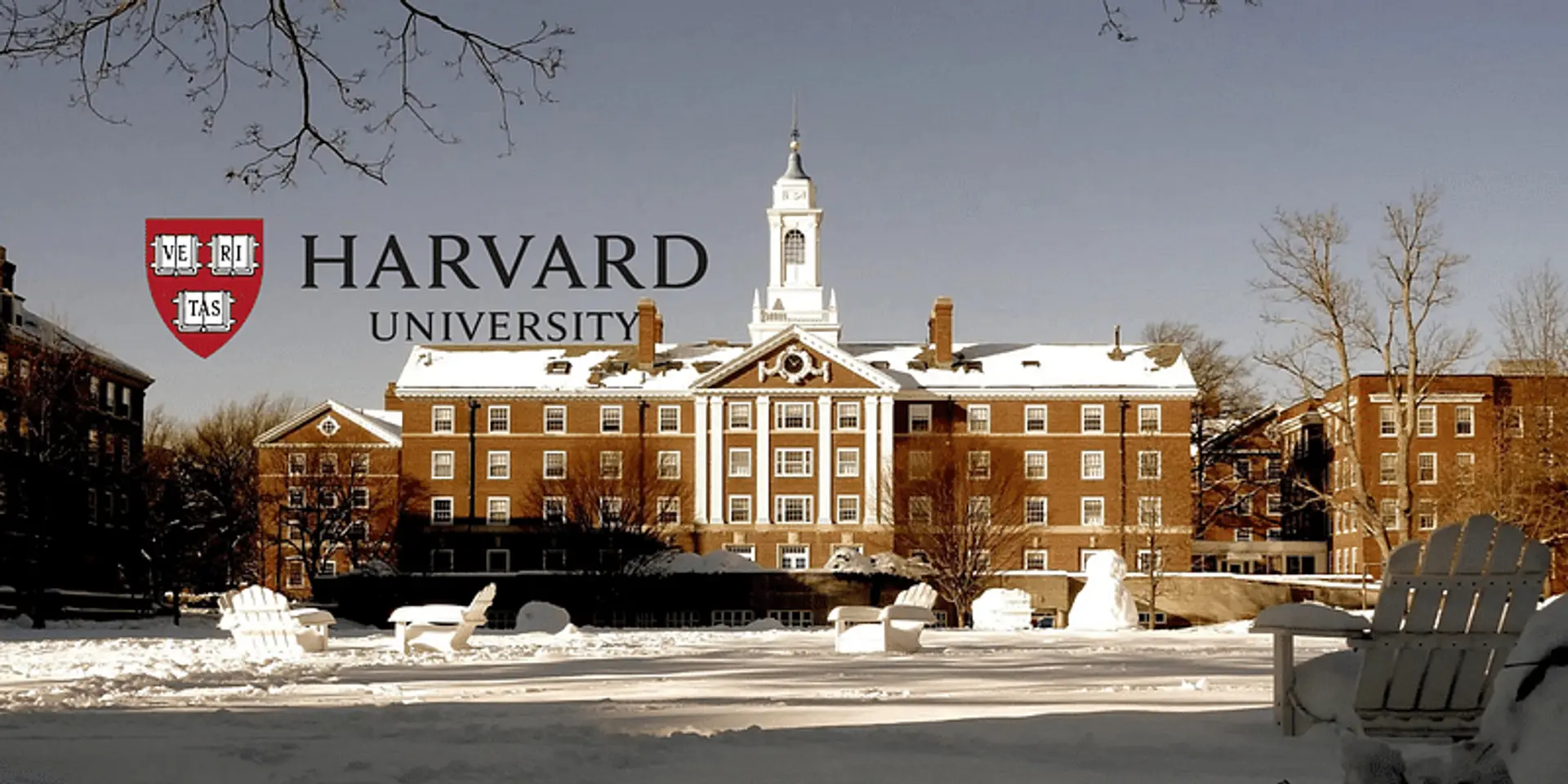 Harvard's Top 10 Free Online Courses in AI & Entrepreneurship