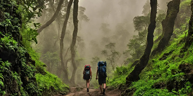 Trekking