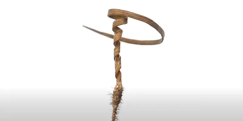seed