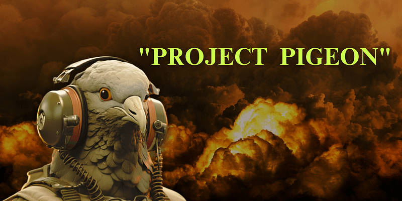 Project Pigeon: When Birds Became the Brain of Guided Missiles