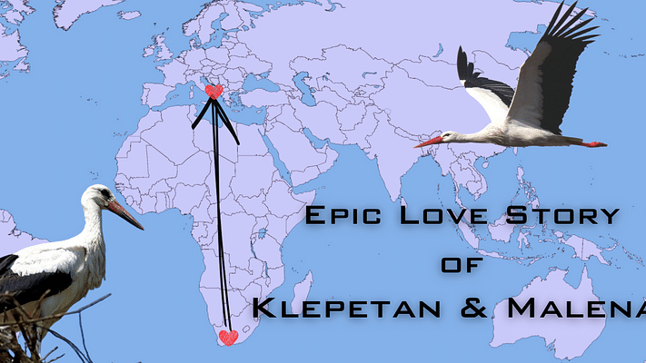 Love Across 13,000km: Klepetan and Malena, the Greatest Love Story of the 21st Century