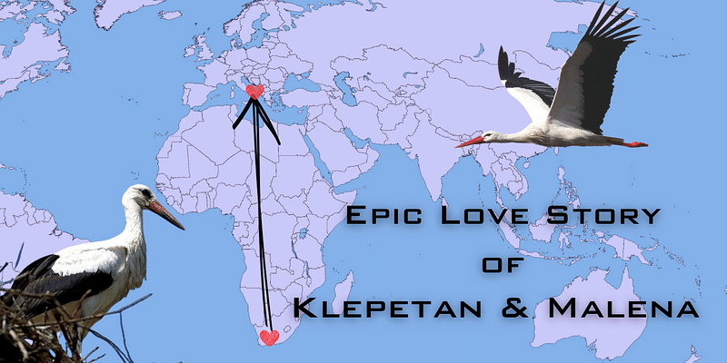 Love Across 13,000km: Klepetan and Malena, the Greatest Love Story of the 21st Century