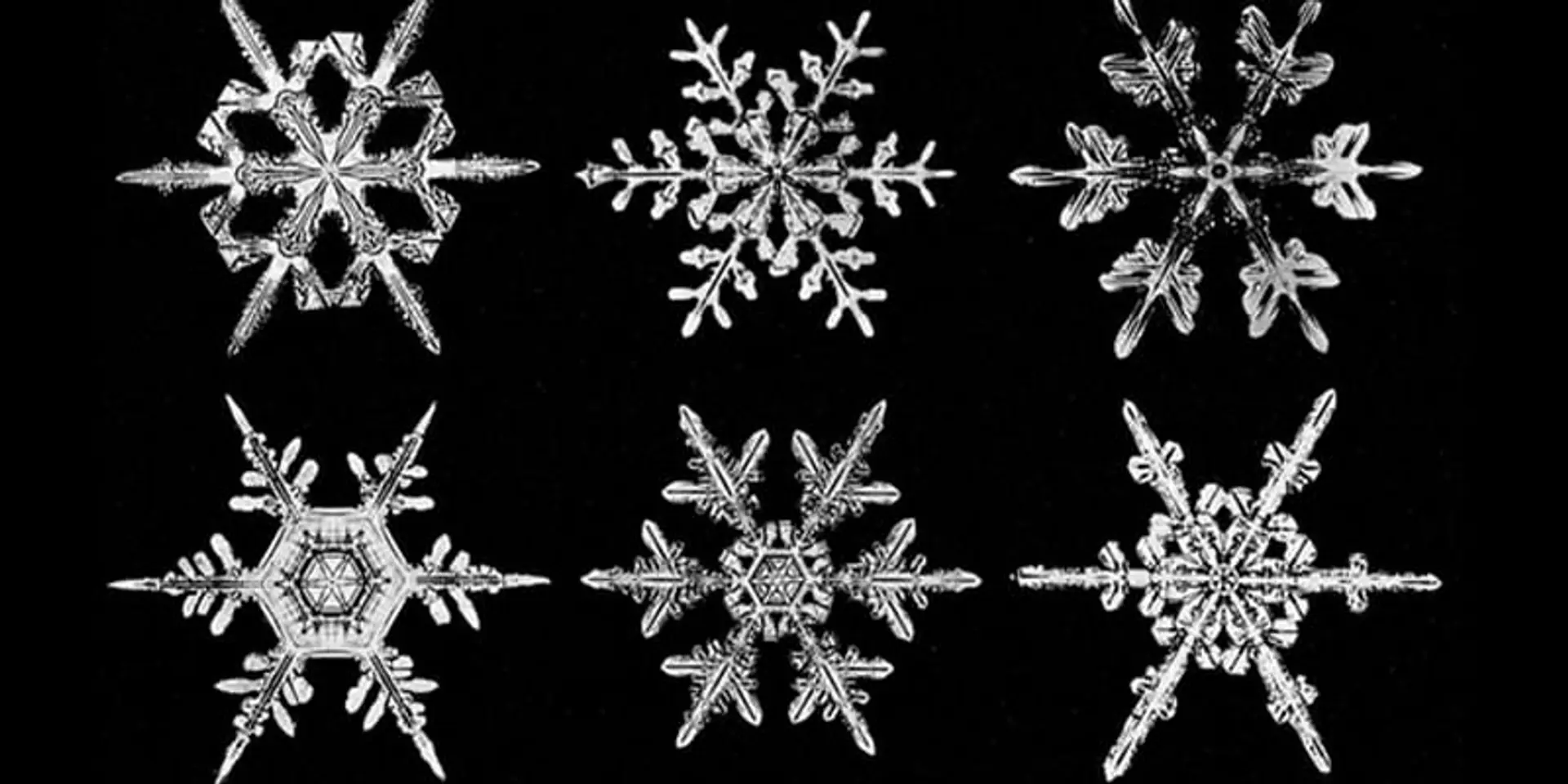 Cold Case: The Unseen Life of Snowflakes