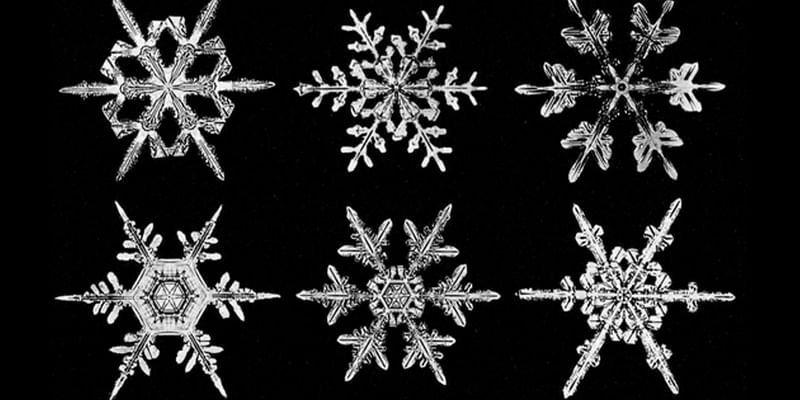Cold Case: The Unseen Life of Snowflakes
