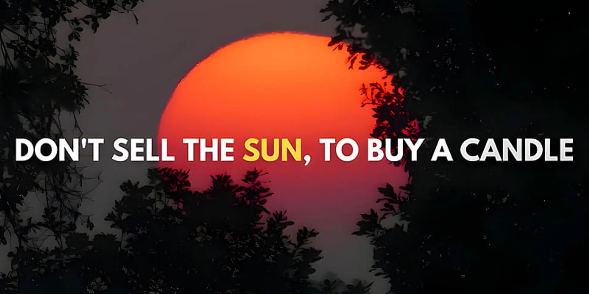 Harnessing Your Inner Sun: Valuing Potential Over Short-Term Gains