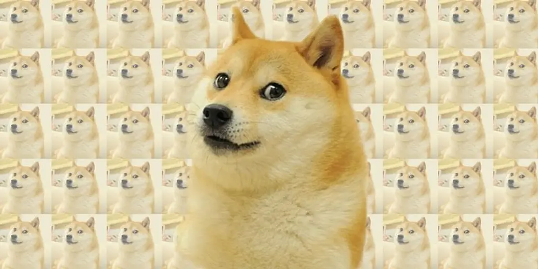 Iconic Meme Dog Cheems Passes Away: The Internet Remembers Balltze ...