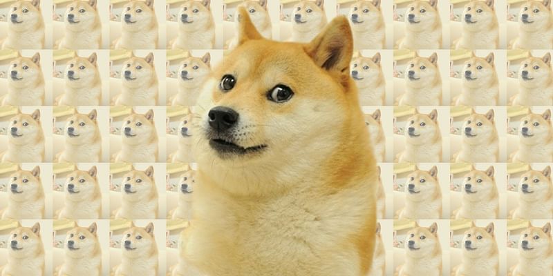 Iconic Meme Dog Cheems Passes Away: The Internet Remembers Balltze