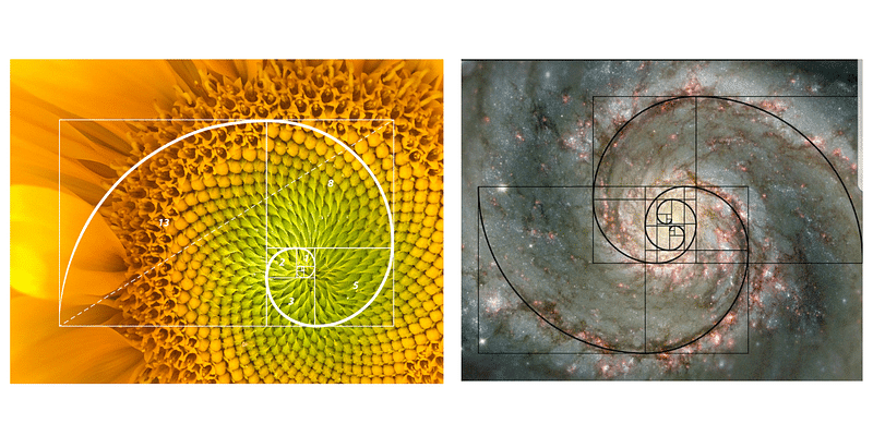fibonacci spiral galaxy