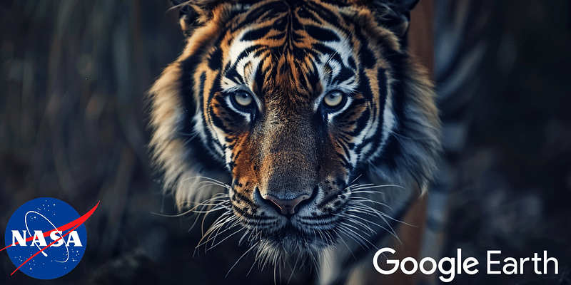 NASA and Google Earth Join Forces to Save Tigers: Inside TCL 3.0