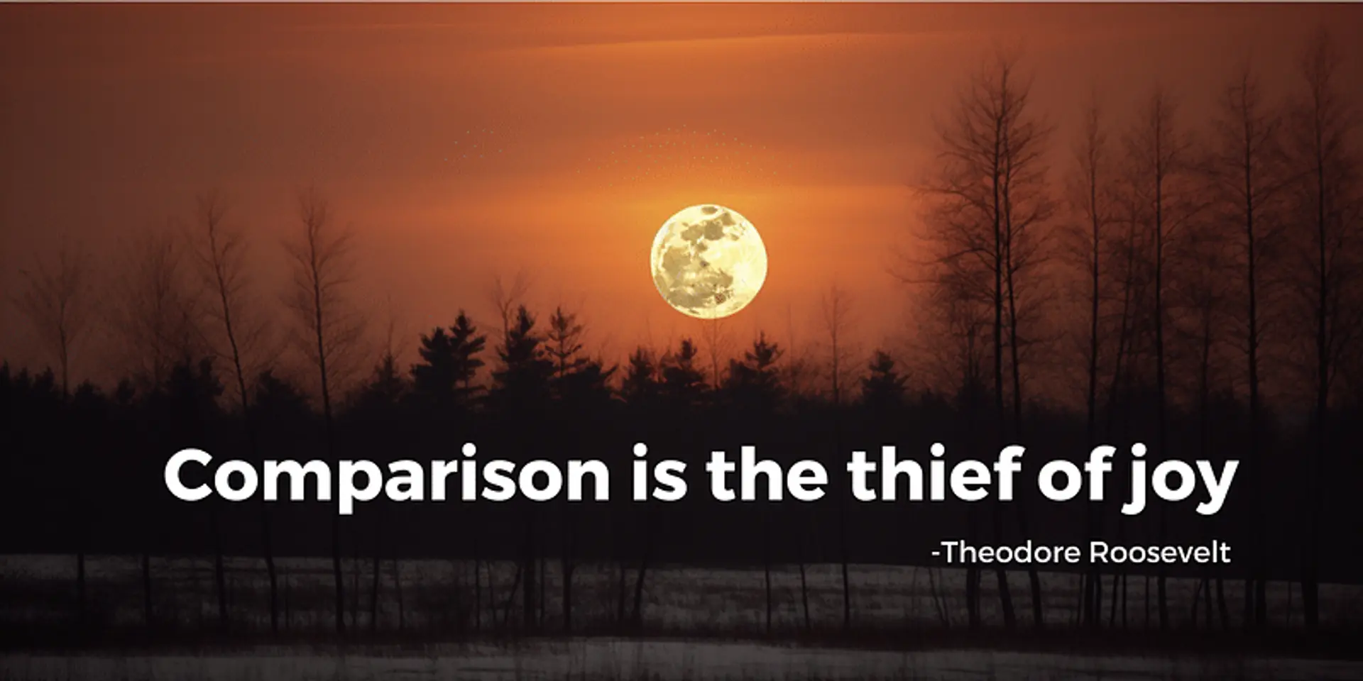 Ditch Comparison, Embrace Joy: Here’s How!