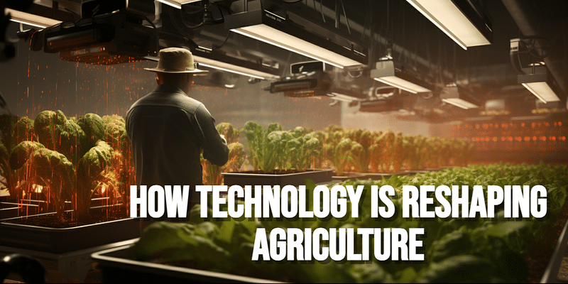 From Drones to IoT: How Technology is Reshaping Agriculture