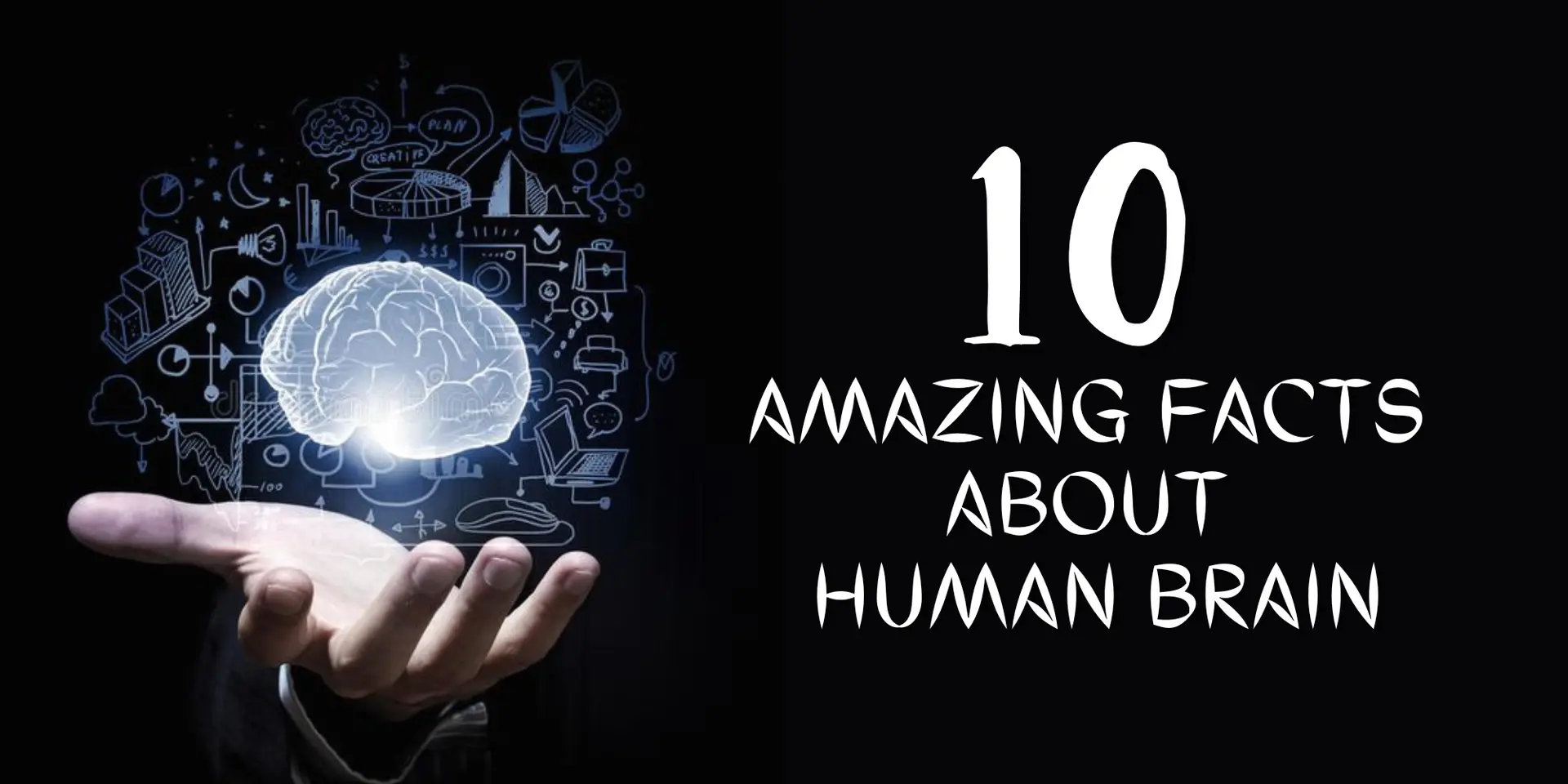 The Human Brain: 10 Astonishing Facts You Must Know