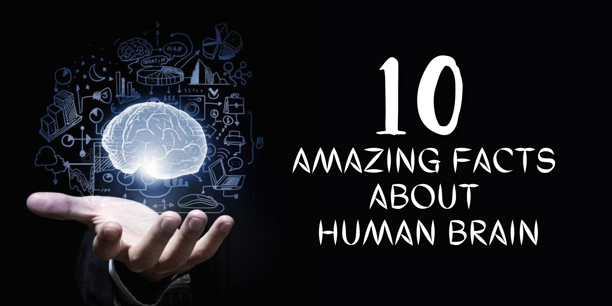 The Human Brain: 10 Astonishing Facts You Must Know