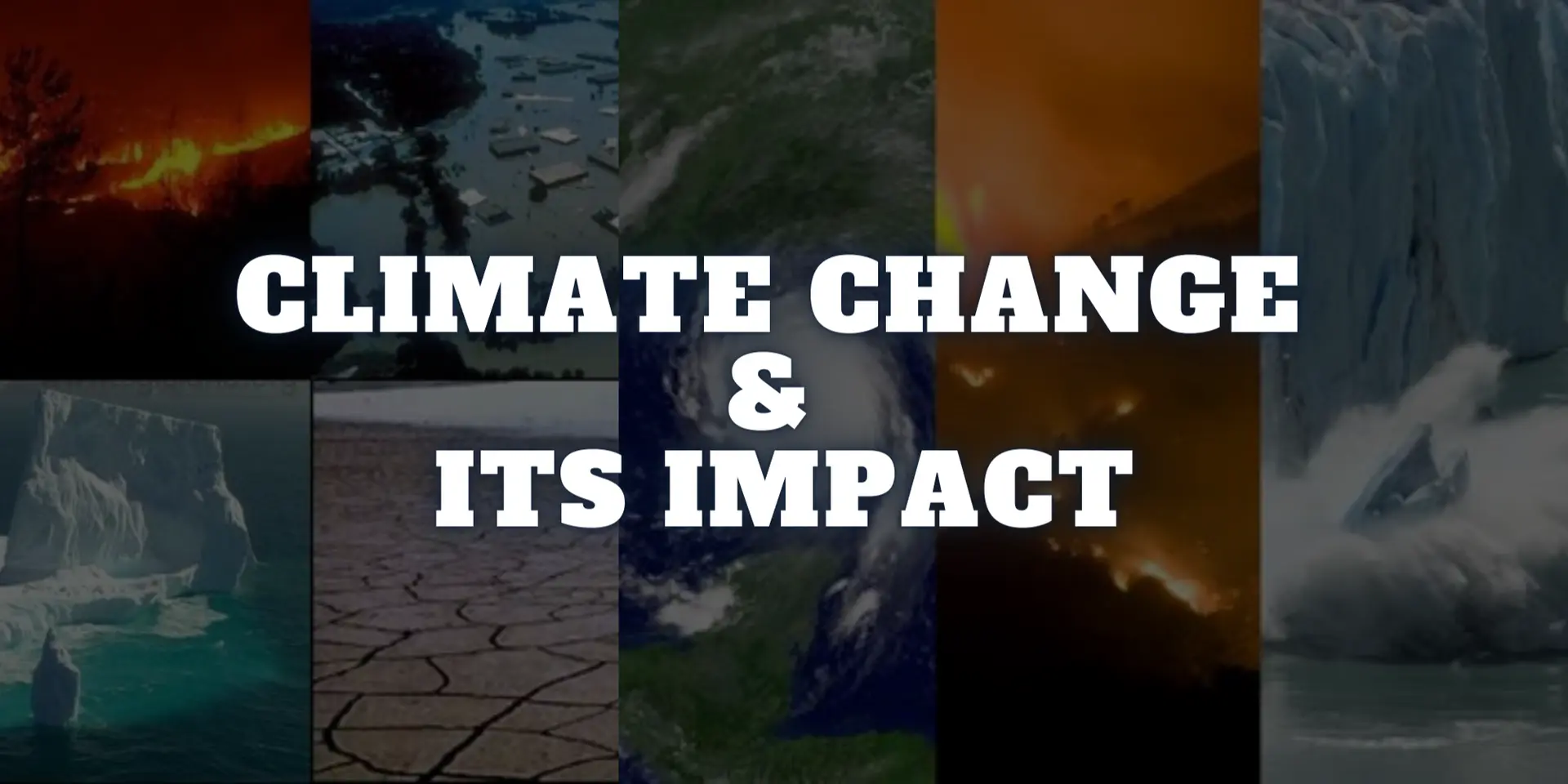 Climate Crisis: 8 Shocking Realities of Climate Change