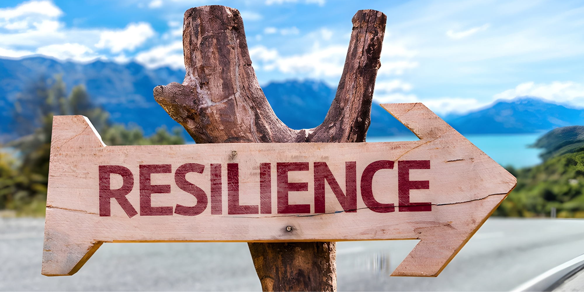 Mastering Resilience: Effective Strategies to Overcome Adversity