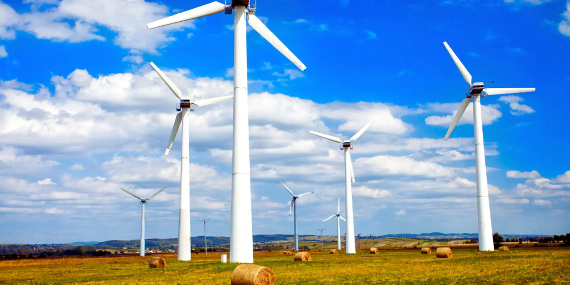 Why Are Wind Turbines Always White? Discover the Surprising Reasons!