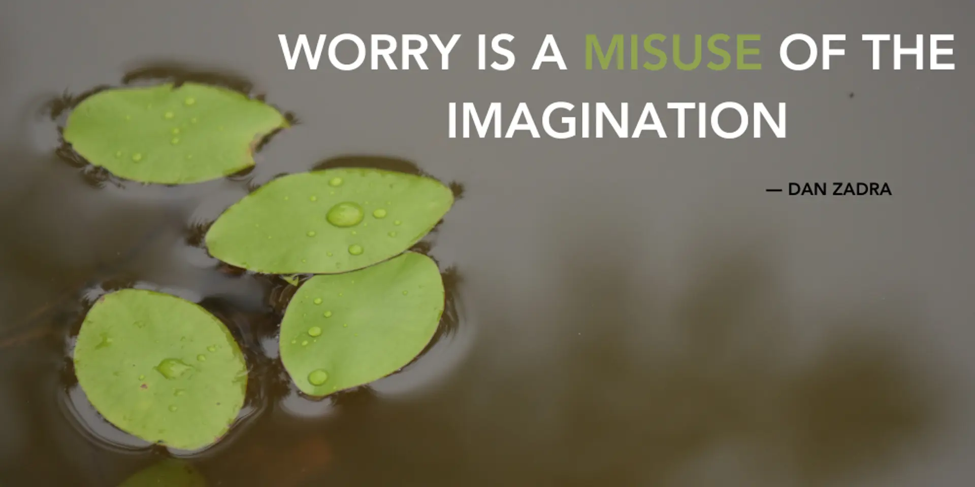 Dan Zadra's Wisdom: How to Harness Your Imagination for Success