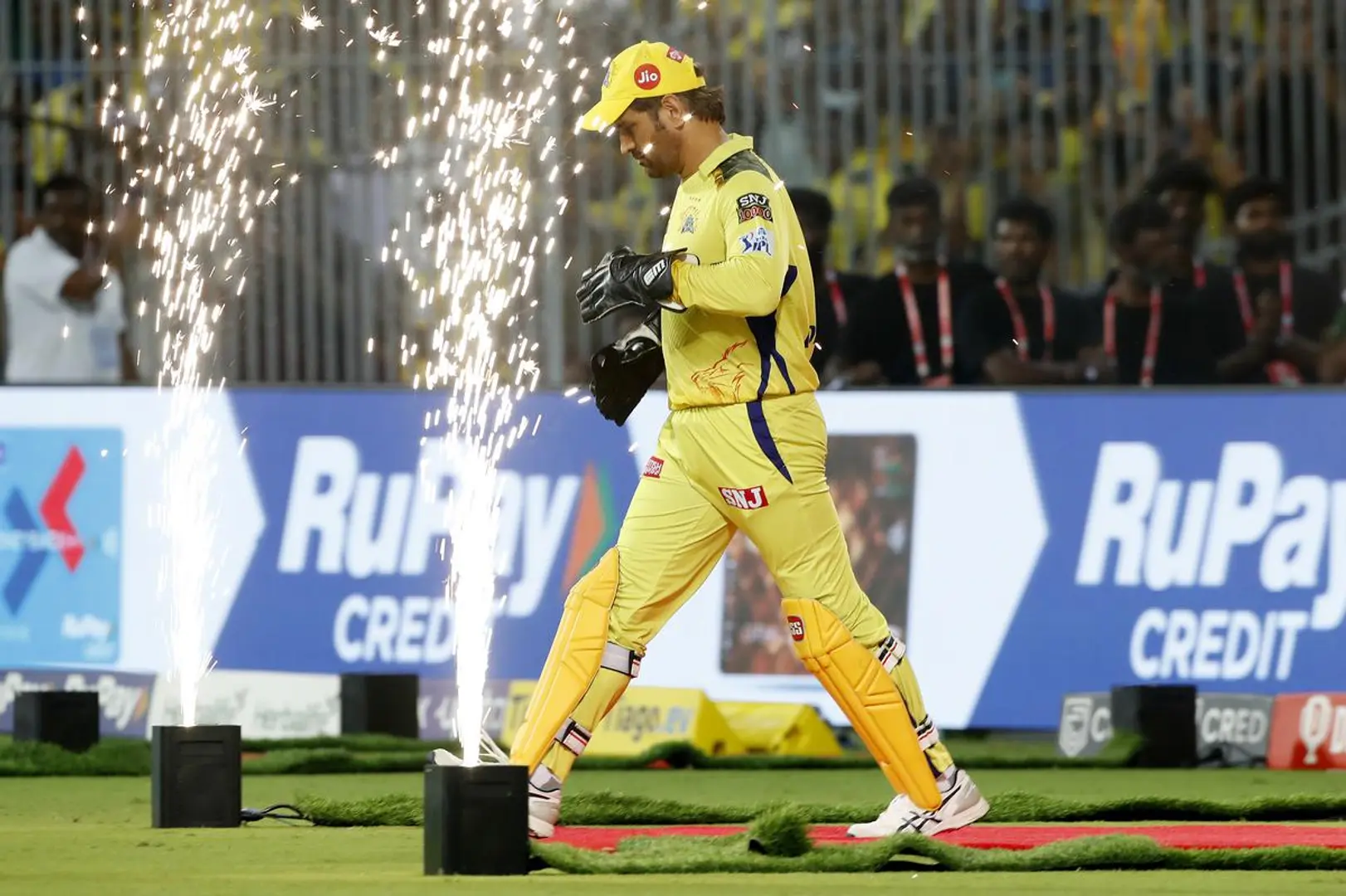 Thala approved: MS Dhoni backs House of Biryan to take personalised biryani global