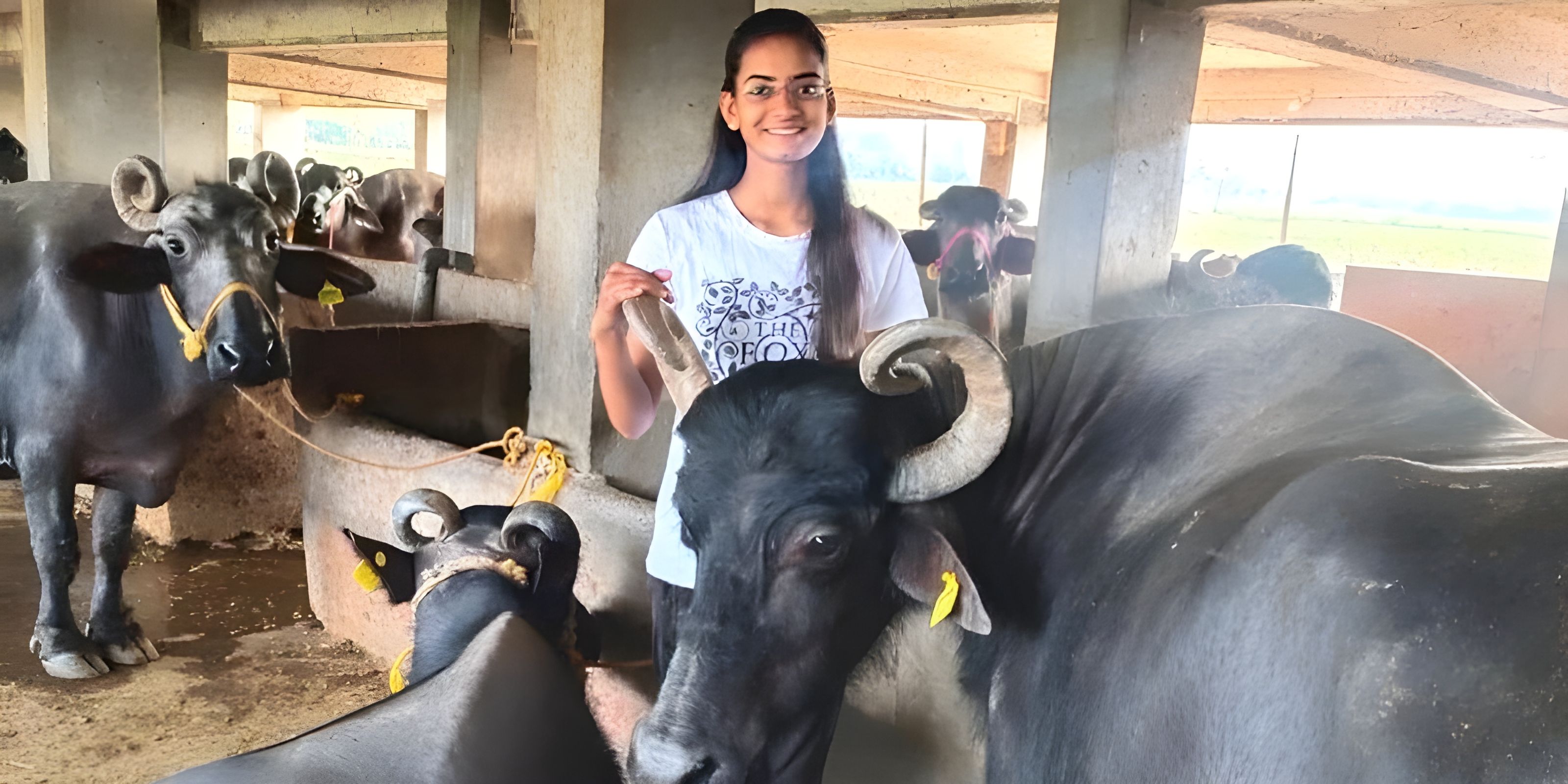 From Buffalo Girl to Dairy Mogul: Shraddha's Rs 1 Cr Journey