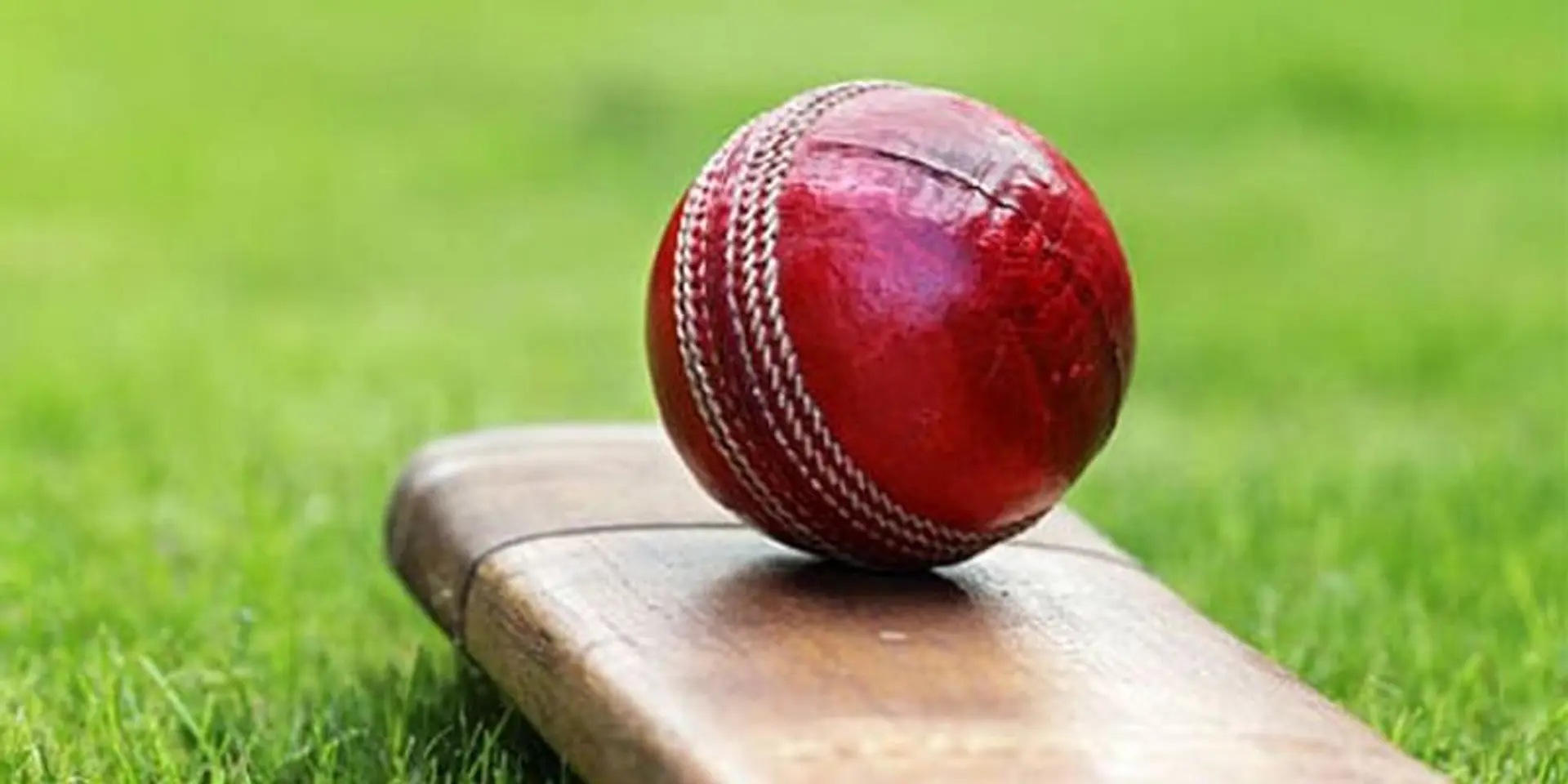 Indian startup ecosystem reacts to the Indian cricket team’s big win over Australia