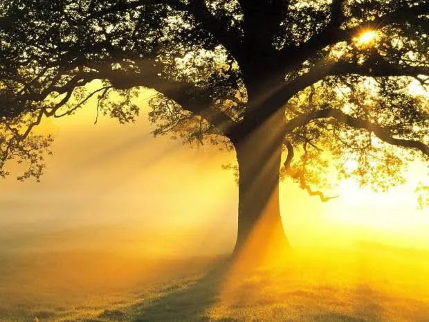 Spirituality