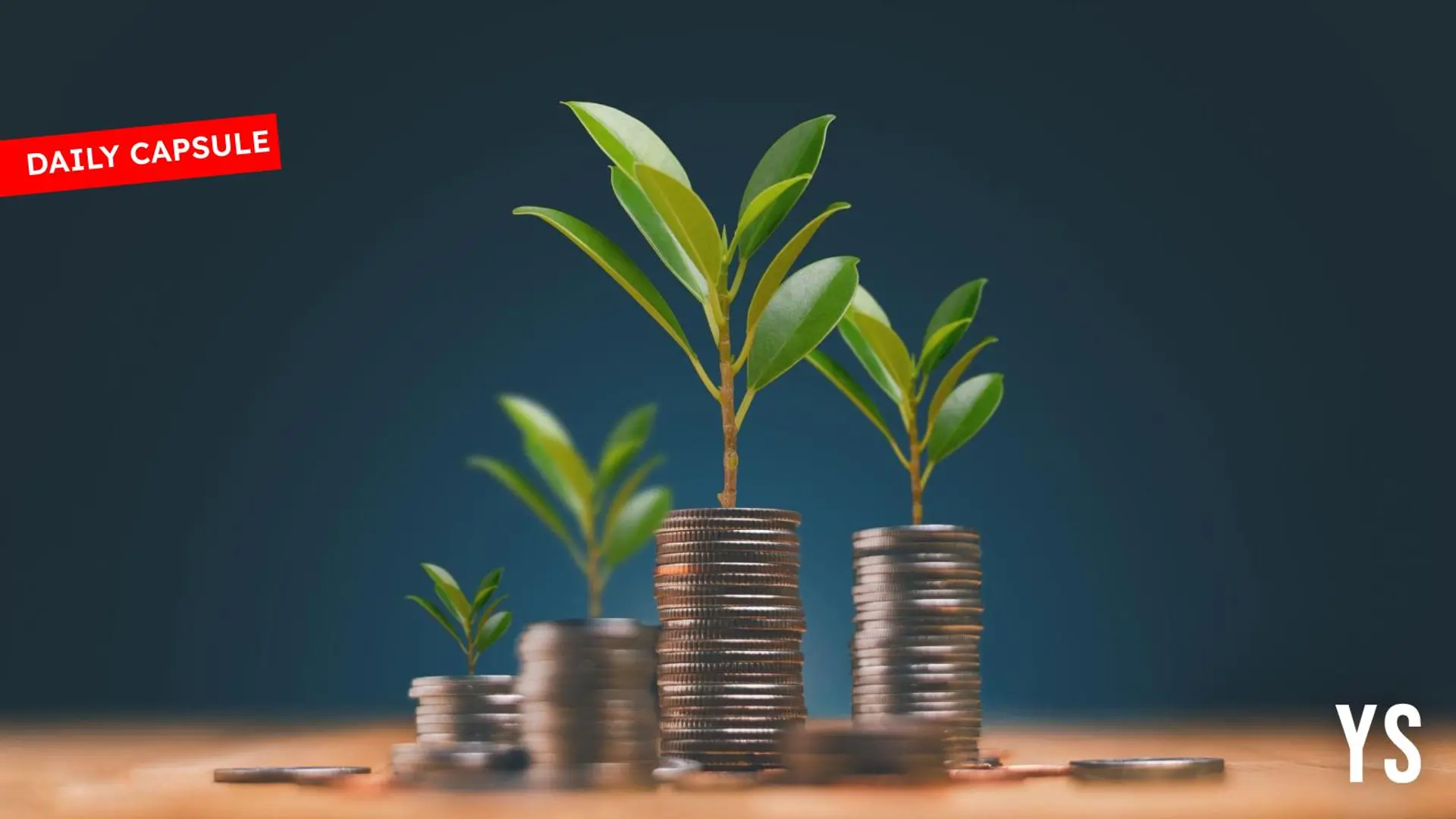 RBI’s rate cut and fintech lenders; Home salons powered with AI