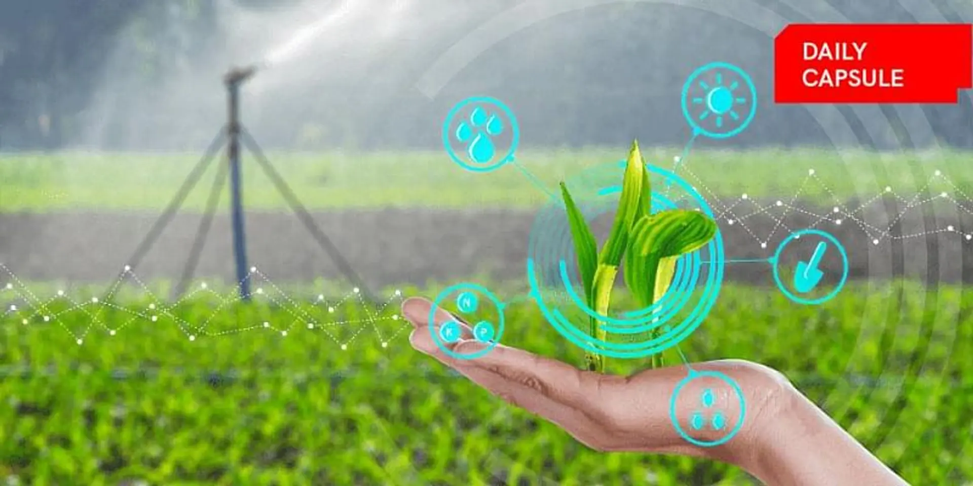 Agritech startups struggle with capital