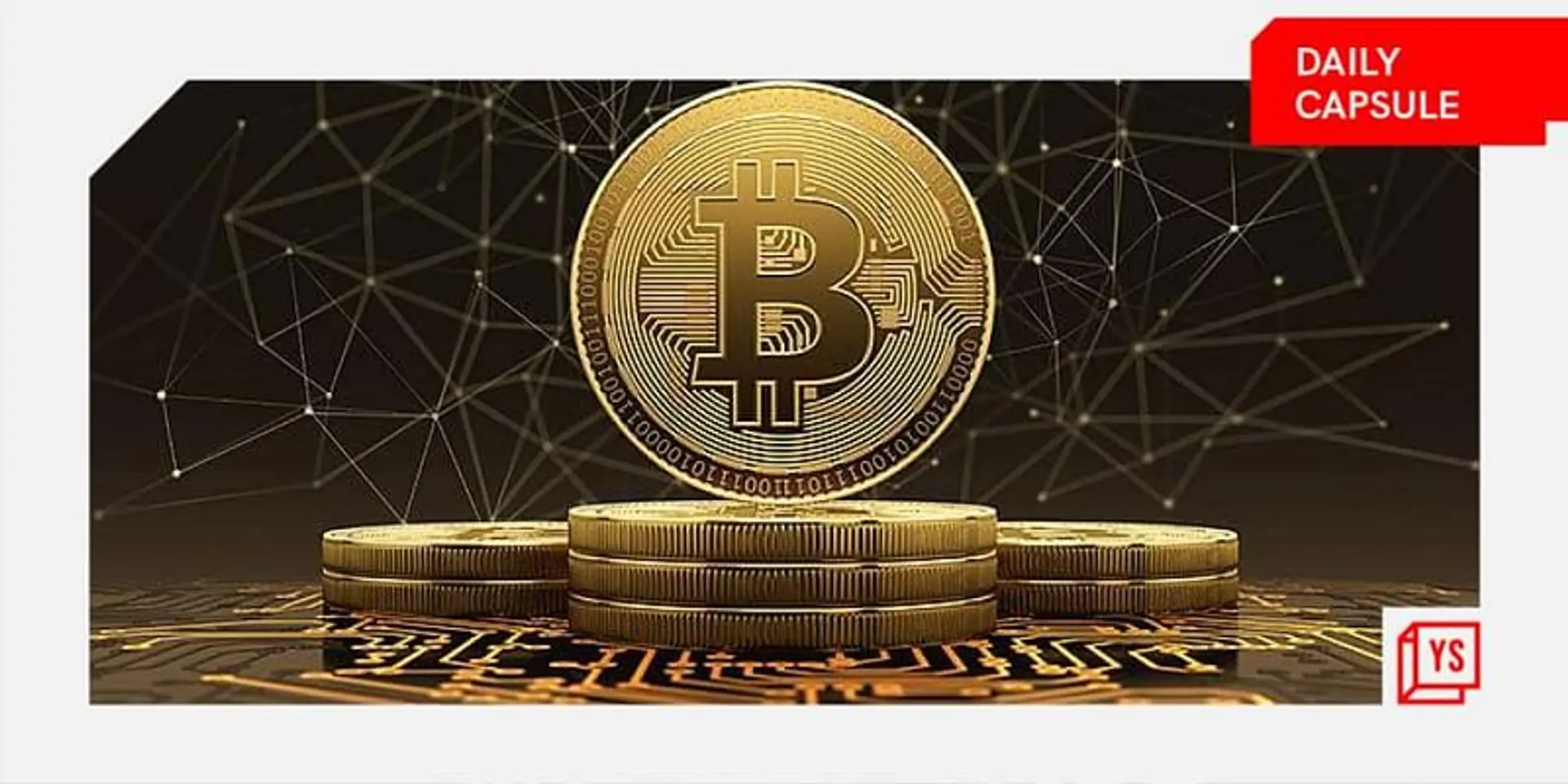 Surviving crypto crash