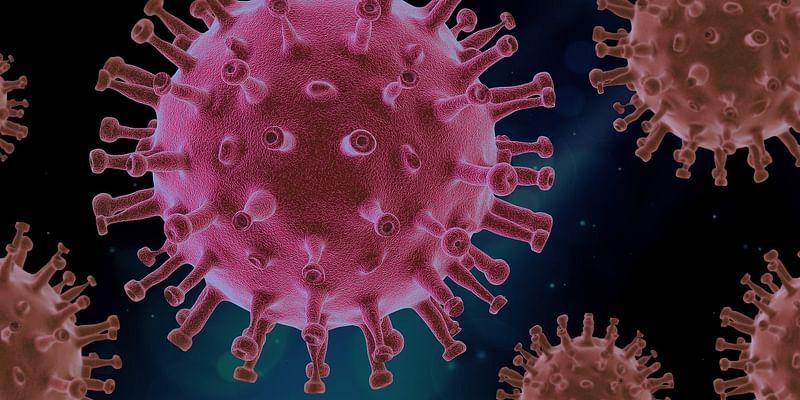 Coronavirus updates for April 28