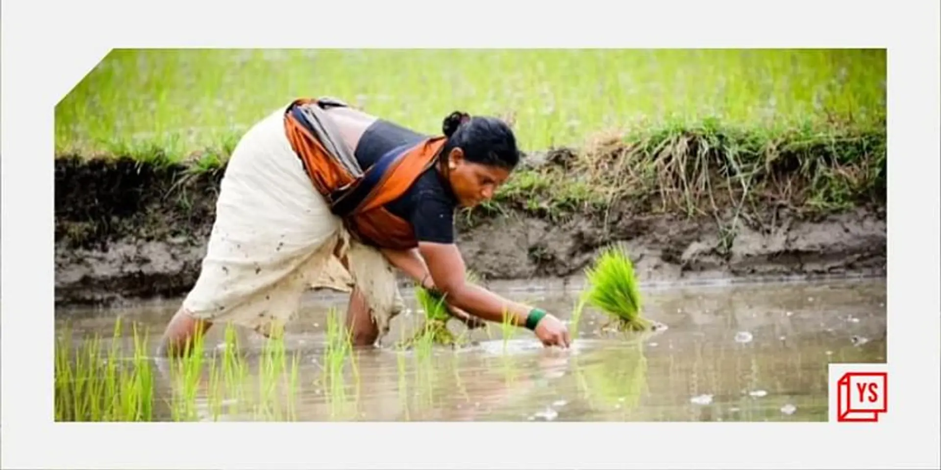 Why we need data in farming to create a
sustainable food future for India