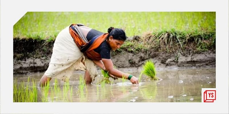 Why we need data in farming to create a 
sustainable food future for India