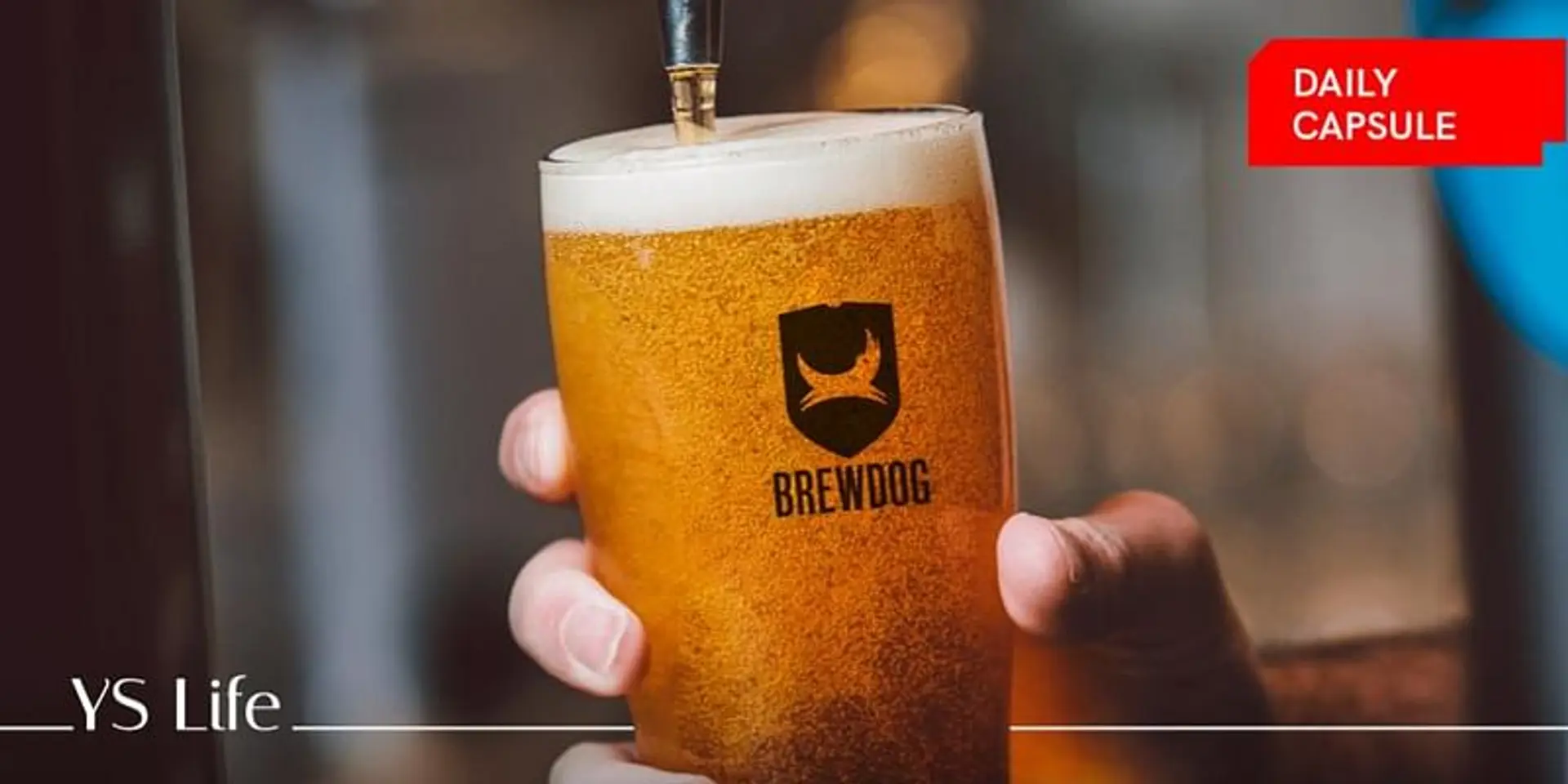 India's growing craft beer culture