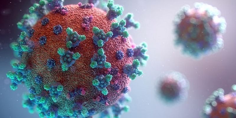 Coronavirus updates for July 14