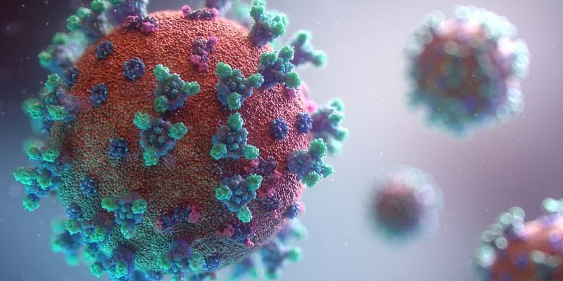 Coronavirus updates for June 13